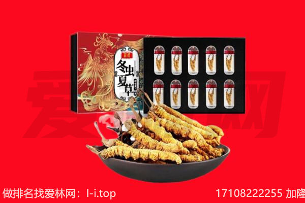 巴里坤县回收虫草.jpg